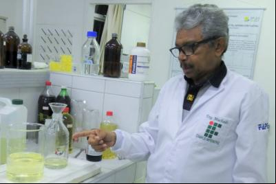 Imperatriz:  IFMA pesquisa uso do coco babaçu na produção de biodiesel 