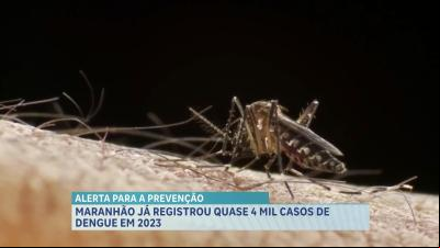 Maranhão já registrou quase 4 mil casos de dengue em 2023