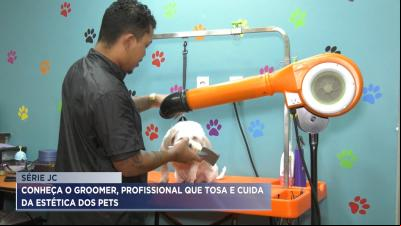 Conheça o groomer, profissional que tosa e trata a estética dos pets