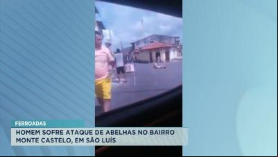 Homem sofre ataque de abelhas no bairro Monte Castelo