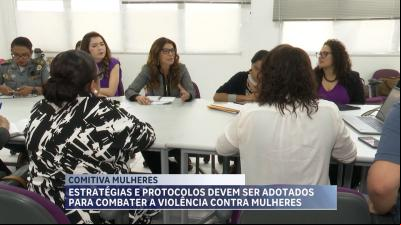 Comitiva federal discute enfrentamento à violência contra mulheres indígenas no MA