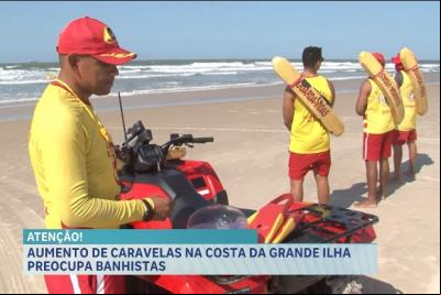 Mais de 250 queimaduras de caravelas são registradas nas praias de São Luís