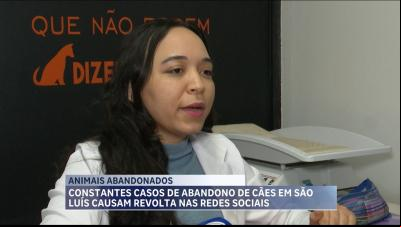 Saiba como agir em casos de flagrantes de abandono de animais