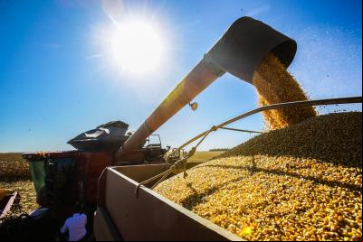 https://suacidade.diariomaranhense.net/economia/economia-brasileira-cresce-14-no-primeiro-trimestre-de-2025-aponta-ibge-30052025/