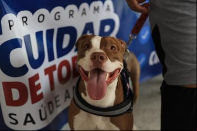 1ª edição do Cuidar de Todos Saúde Animal de 2025 contabiliza mais de 1.600 atendimentos