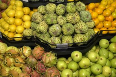 Saiba os alimentos que ajudam a fortalecer o sistema imunológico