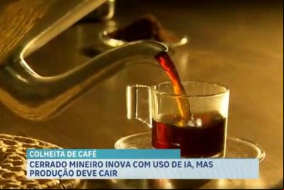 Agro Record: estratégias simples aumentam a produção no Maranhão e IA revoluciona colheita de café em Minas