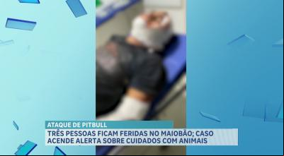 Três pessoas ficam feridas após ataque de cão da raça pitbull no Maiobão