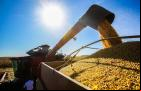 https://suacidade.diariomaranhense.net/economia/economia-brasileira-cresce-14-no-primeiro-trimestre-de-2025-aponta-ibge-30052025/