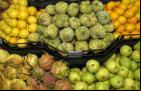 Saiba os alimentos que ajudam a fortalecer o sistema imunológico