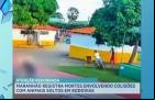 Acidentes envolvendo animais soltos muitas vezes resultam em morte